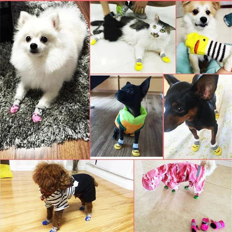 Cute Dog Socks: The Perfect Blend of Comfort and Cuteness