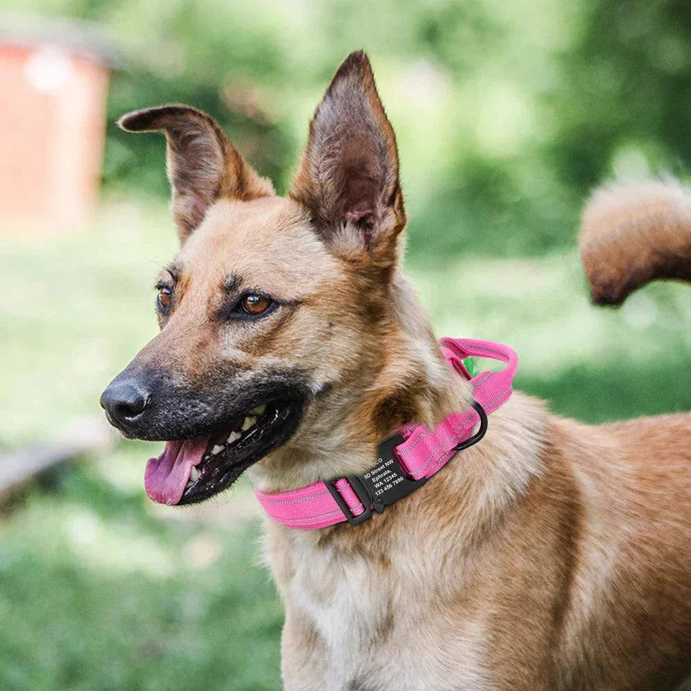 Military Tactical Pet Collar ID - Rugged, Personalised & Durable for Outdoor Pets