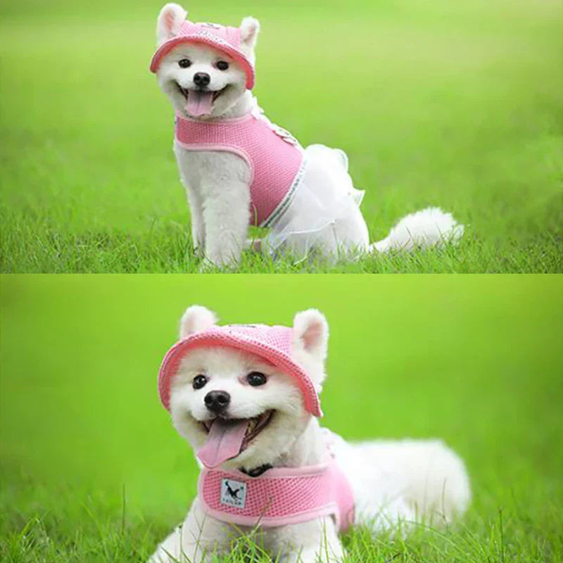 Breathable Summer Sunhat For Pet | Stylish & UV Protection for Pets