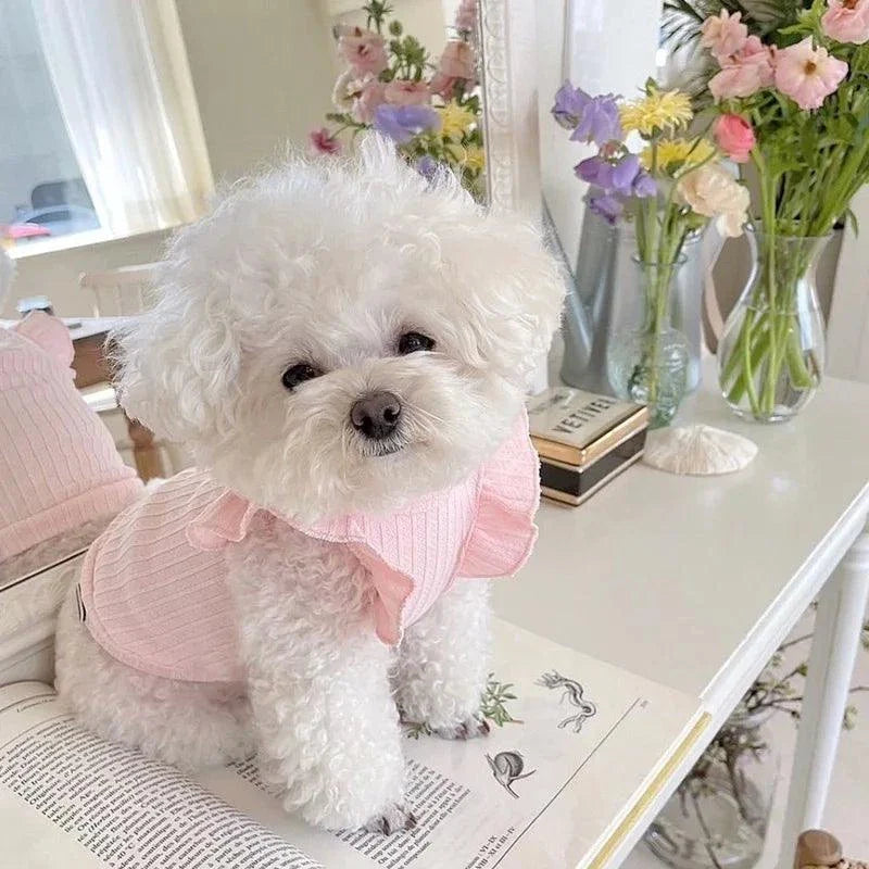 Cute Bow For Pets - Devya's Pet Emporium