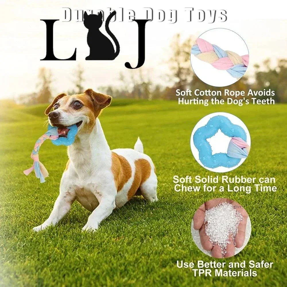 Molar Clean Teeth Chew Toys – Promote Dental Health & Fun Play for Dogs