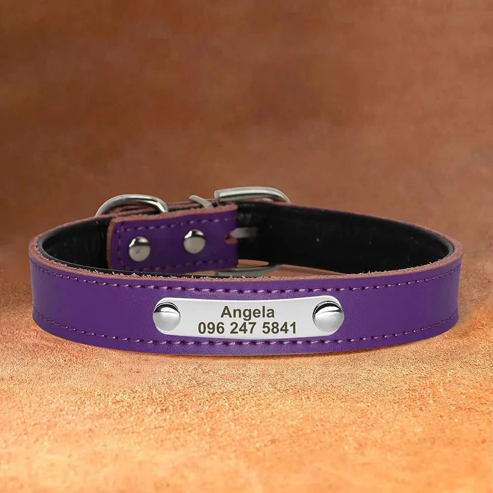 Personalised Leather Pet Collar ID 