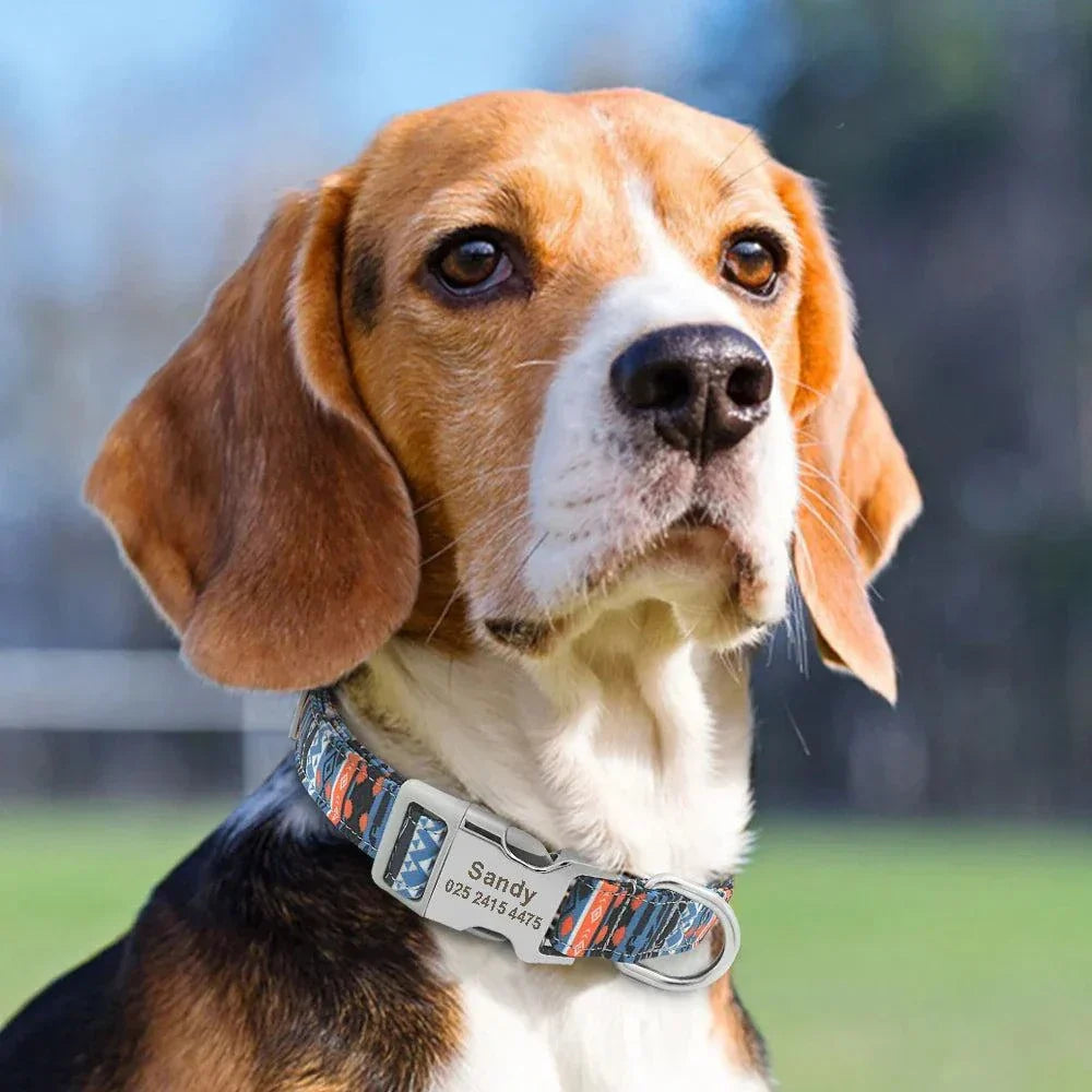 Engraved Puppy Collars - Personalized, Stylish & Adjustable For Your Pet