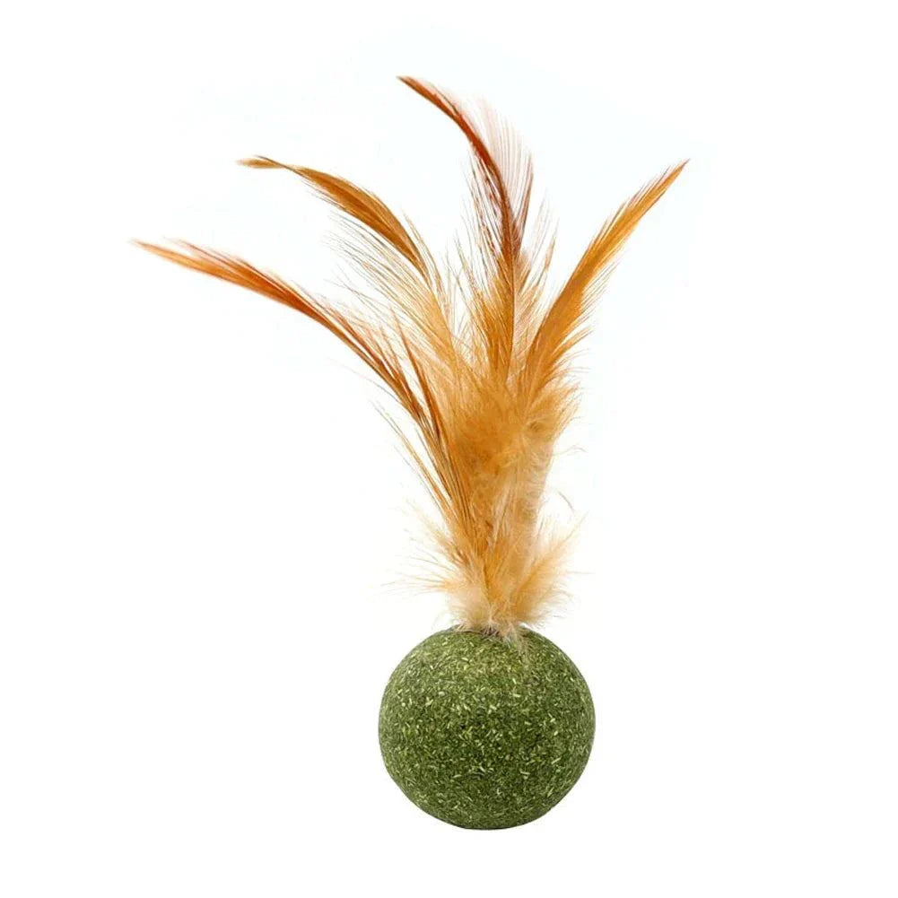 Natural Catnip Grinding Teeth Mint Ball - Devya's Pet Emporium