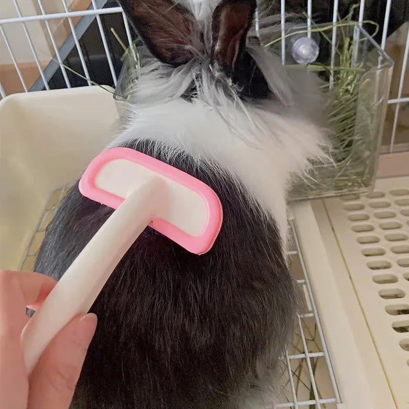 Silicone Small Pet Grooming Brush - Gentle & Easy to Clean for Cats & Dogs