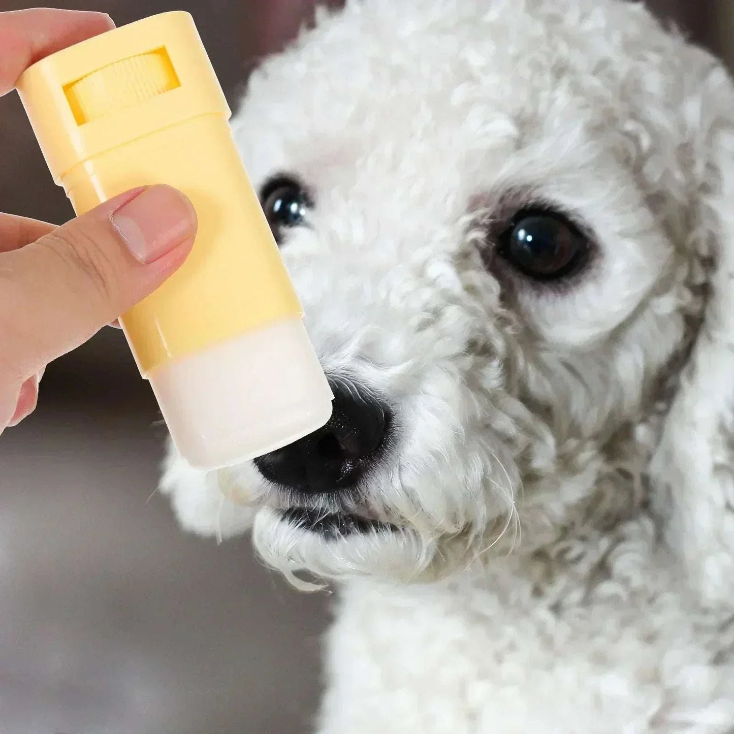 Paw Protection Balm Foot Moisturizer Cream - Gentle Pet Paw Care