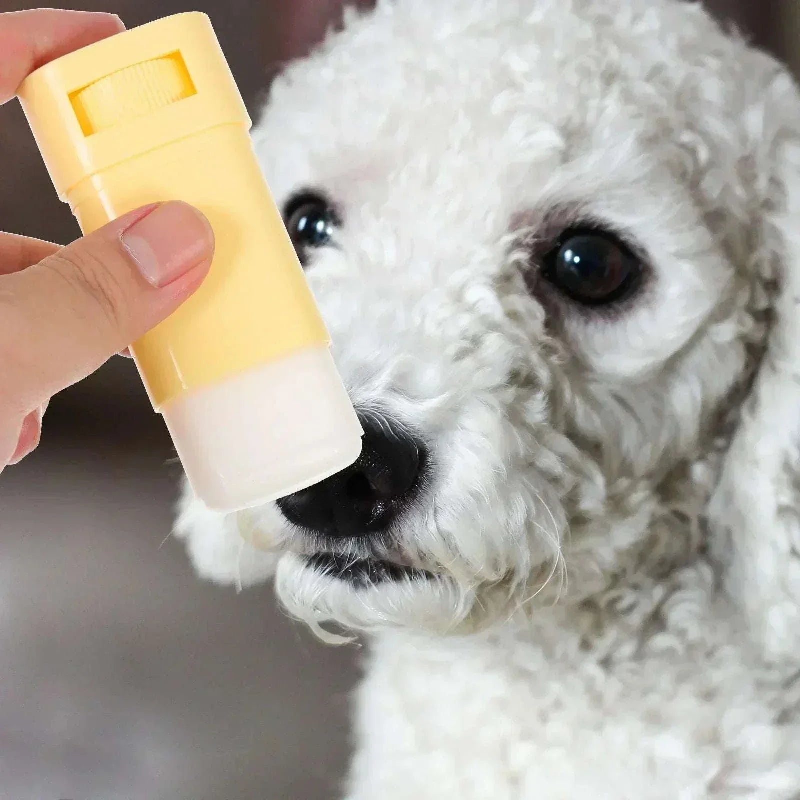 Paw Protection Balm Foot Moisturizer Cream - Gentle Pet Paw Care
