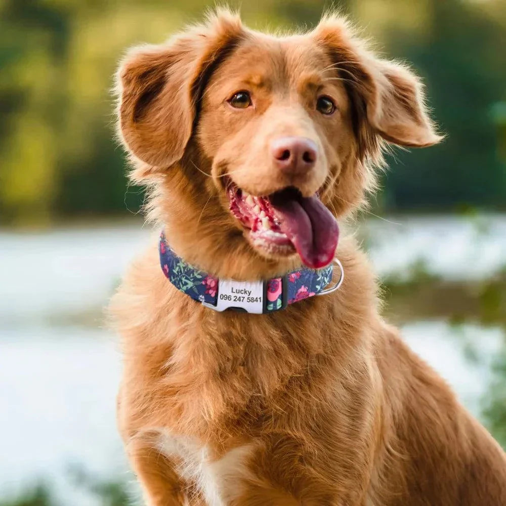 Floral Printed Custom Collar - Devya's Pet Emporium