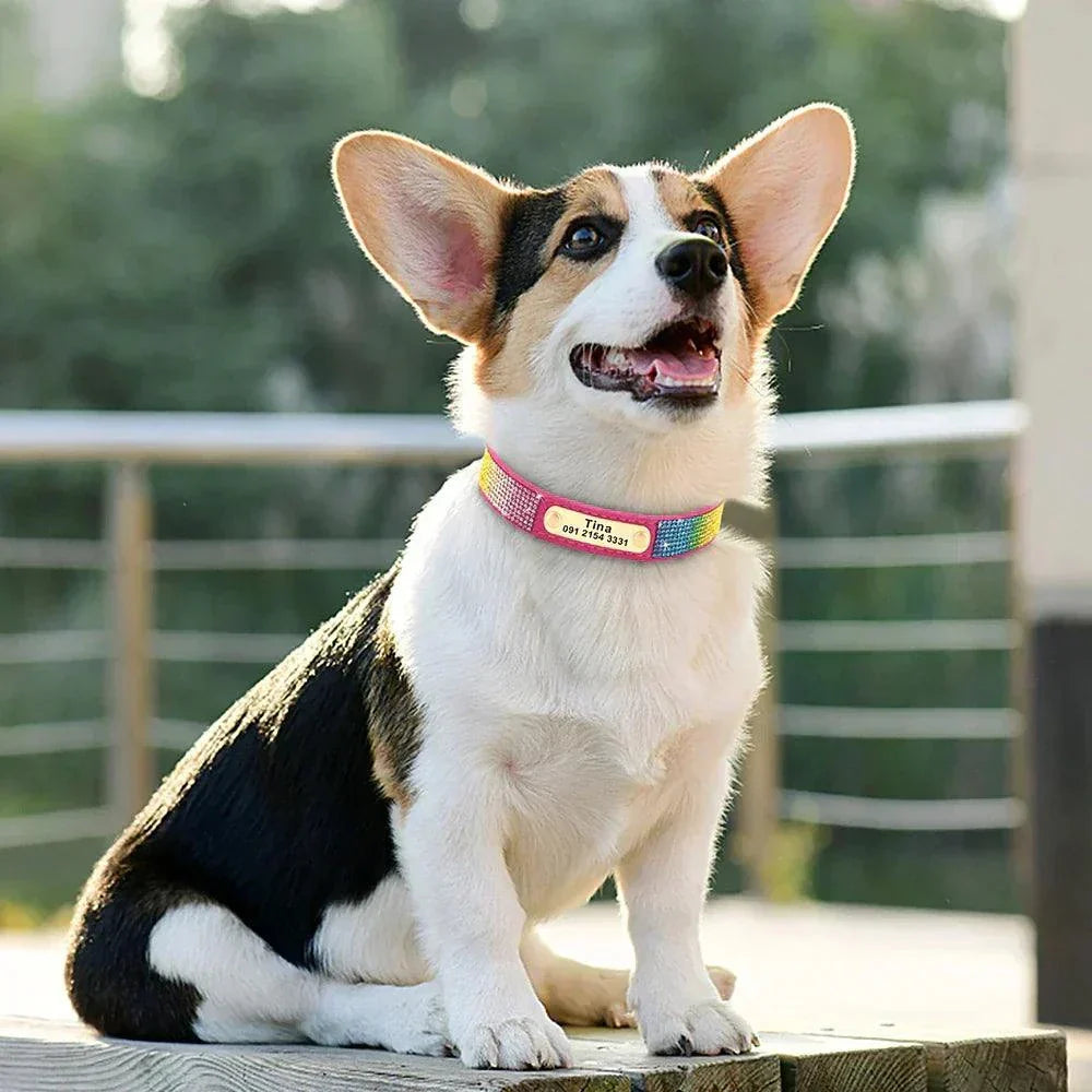  Personalised Bling Customized Anti-Lost Pet ID Collar – Stylish Pet Safety Gear